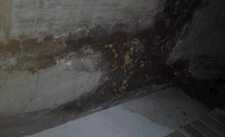 墻面滲水有什么辦法修復？屋頂防水施工的時候這些要留意