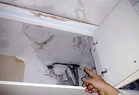 姑蘇屋面屋頂防水